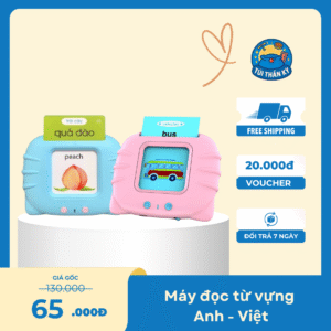 Máy đọc từ vựng Anh- Việt
